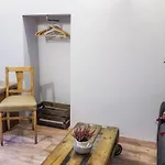 Vecchio Cipresso *