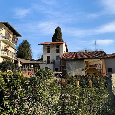 Vecchio Cipresso Chiaverano