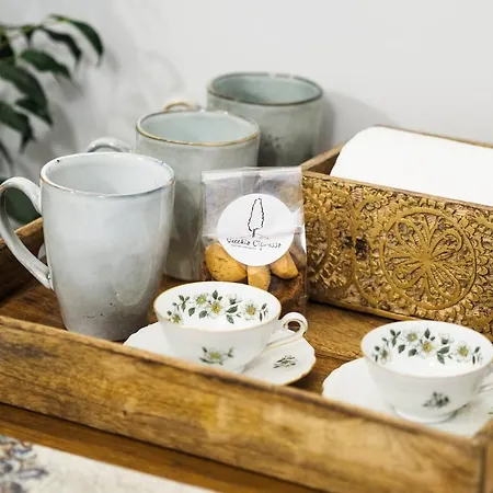 Vecchio Cipresso Kro Chiaverano