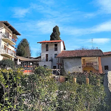 Vecchio Cipresso *